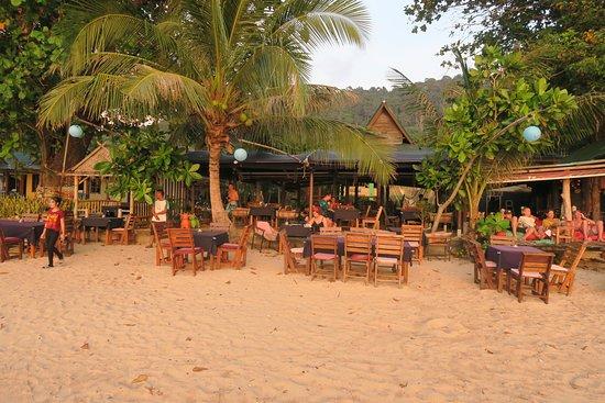 Koala bar restaurant