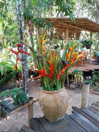 Ruenmai Krabi