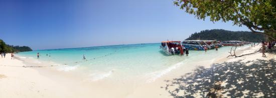 Pattesia Speed Boat