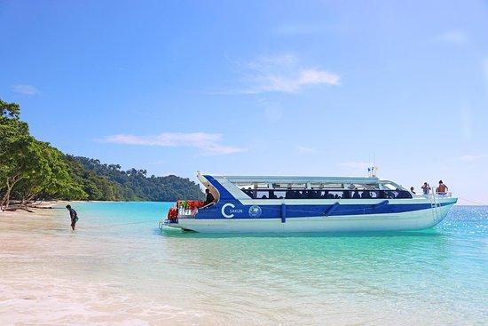 Sea Life Lanta Tours